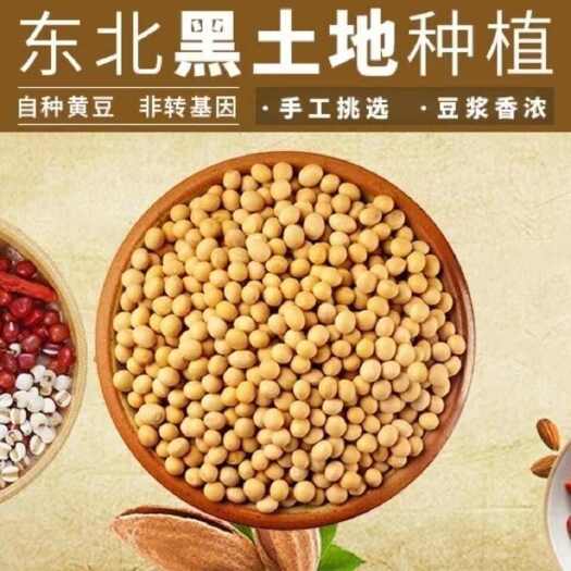 长沙50斤黑龙江东北小黄豆浆食品专用豆非转基因无杂质