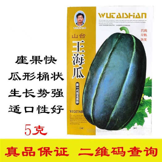 王海瓜甜瓜种子 中熟抗病 果肉白色有香味 酥脆爽甜