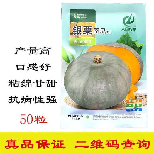 菏泽银栗南瓜种子 果肉杏黄肉厚 紧密坚实 口感细腻 粘绵甘甜