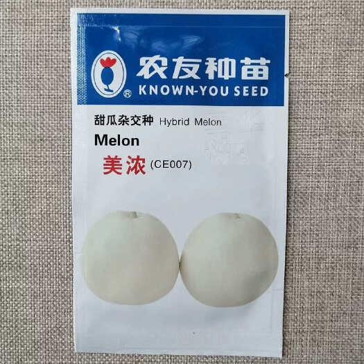 建瓯市美浓甜瓜种子 薄皮甜瓜 肉色淡白绿 肉质细腻 含度高