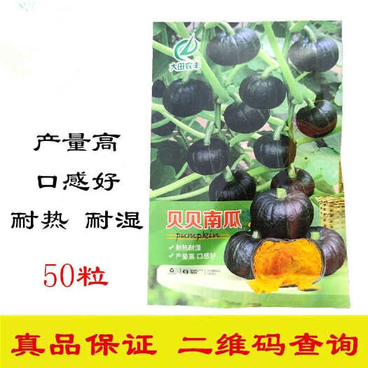菏泽贝贝南瓜种子 果面光亮 果肉橘黄色 肉厚粉甜