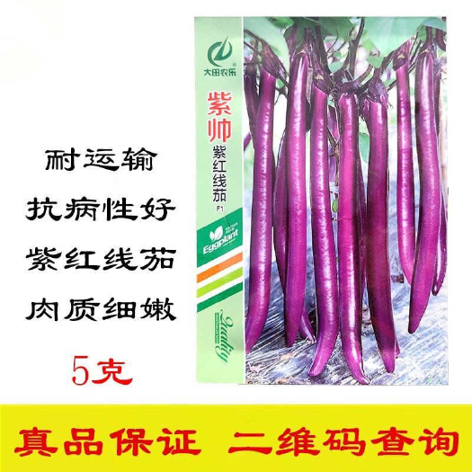 菏泽紫帅紫红线茄种子 果型顺直 肉质细嫩紧密 连续座果能力强
