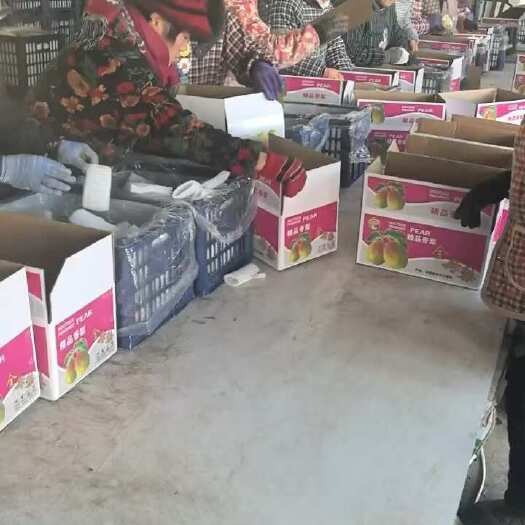 辛集市香梨礼盒
