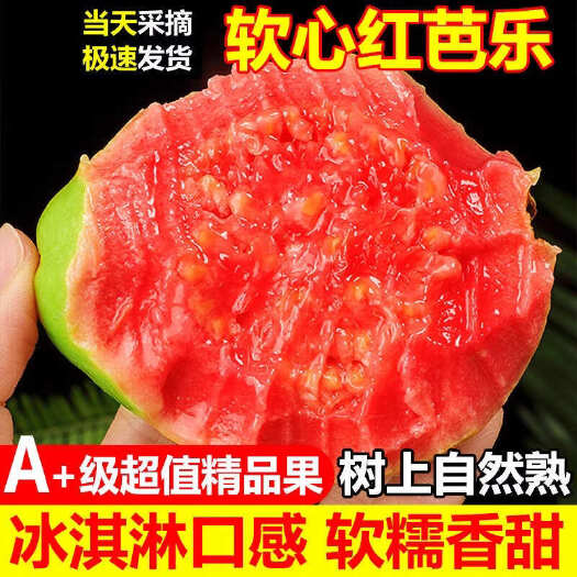 平和县【精品】红心芭乐番石榴软糯软心新鲜应季孕妇低糖类水果