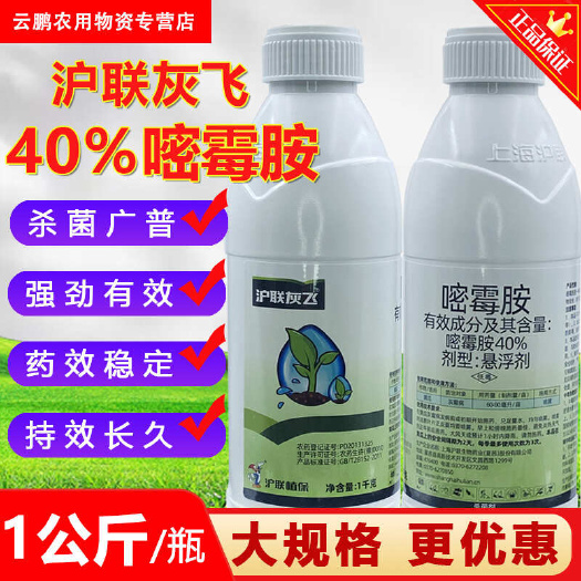 沪联灰飞40%嘧霉胺蔬菜黄瓜灰霉病菌核病专用正品杀菌剂