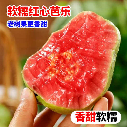 平和县【精品软糯香】福建软心红心芭乐番石榴新鲜水果香甜软鸡屎果包邮