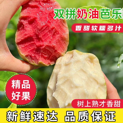 平和县【芭乐红白双拼】双拼红心芭乐奶油白心芭乐新鲜水果奶油软糯
