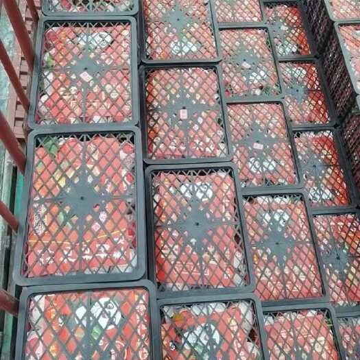 蒲江县春见·耙耙柑，自然熟，大量上市​#全国发货，欢迎对接