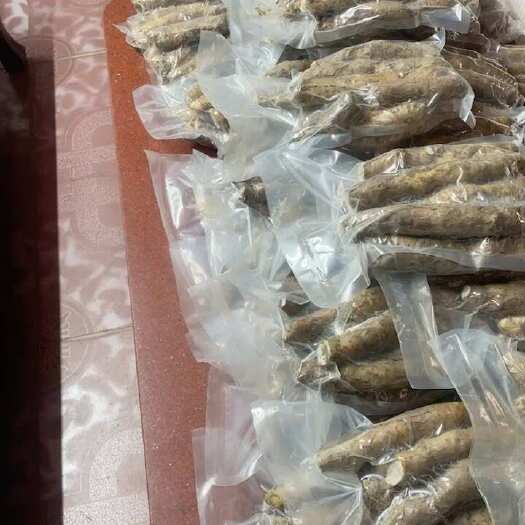 汕头潮南区直发 当日现发姜薯潮汕特产蔬菜 新鲜出土潮南农产品