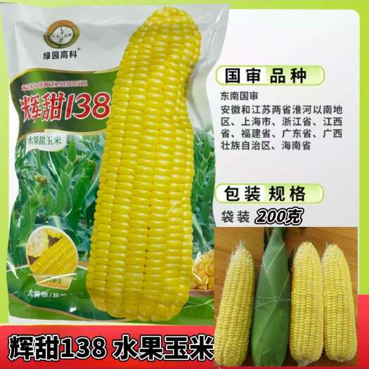 辉甜38水果玉米玉米种子