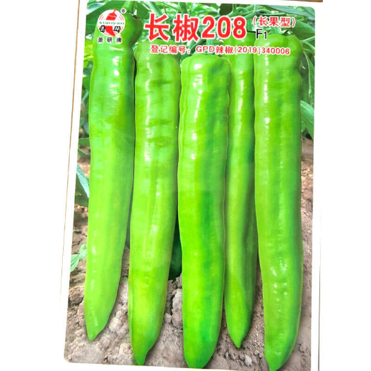 建瓯市长椒208辣椒种子 中早熟 黄绿皮尖椒种子 空腔小耐运输