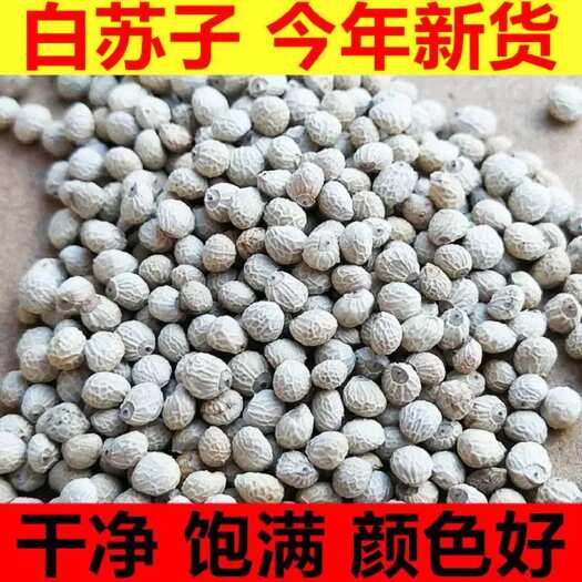 白苏子东北大粒白苏籽 玉苏子 喂鸟苏子鸟食苏子批发