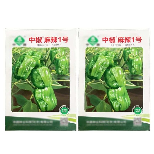 建瓯市中椒麻辣1号薄皮椒种子 肉薄麻辣 果实灯笼形 味辣