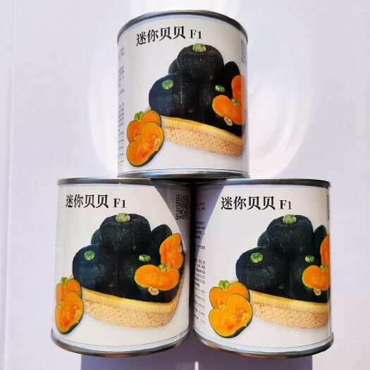 迷你贝贝南瓜种子 果肉杏黄水分少 粉质细腻 甜面可口