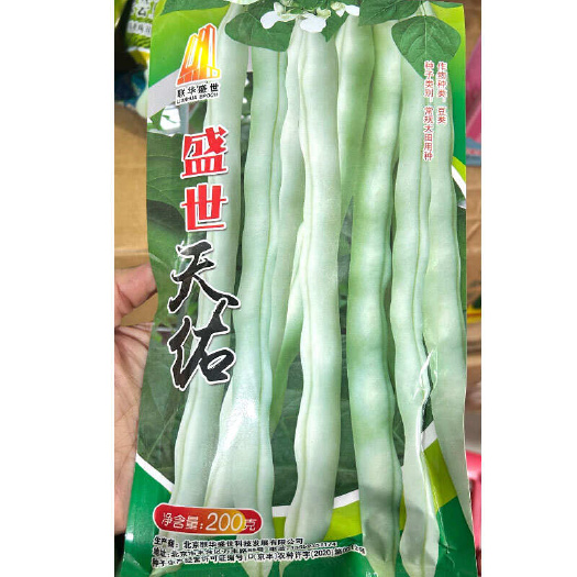 建瓯市盛世天佑架豆种子 荚白绿色圆荚稍扁 中早熟无筋