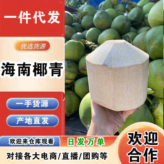 文昌市海南椰青一件代发产地直发一手货源对接各大电商平台