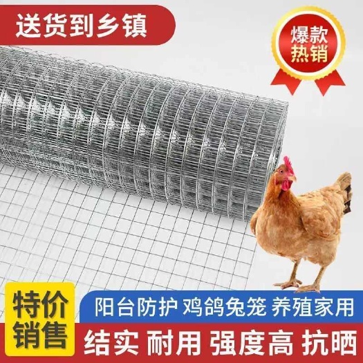 长沙镀锌铁丝网围栏护栏网养殖钢丝网防鼠网兔笼养鸡鸭鸟笼阳台防护网
