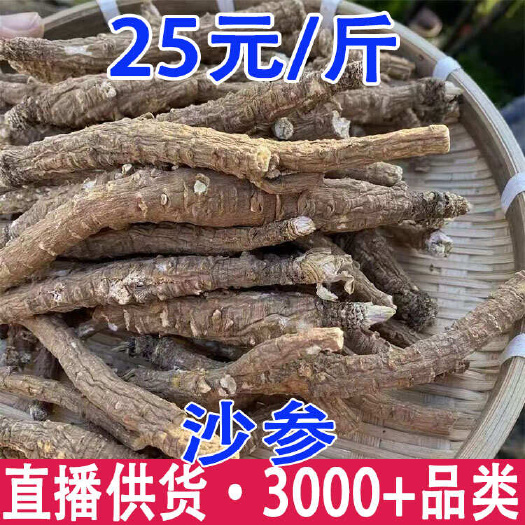 昆明沙参 沙参条 大货批发