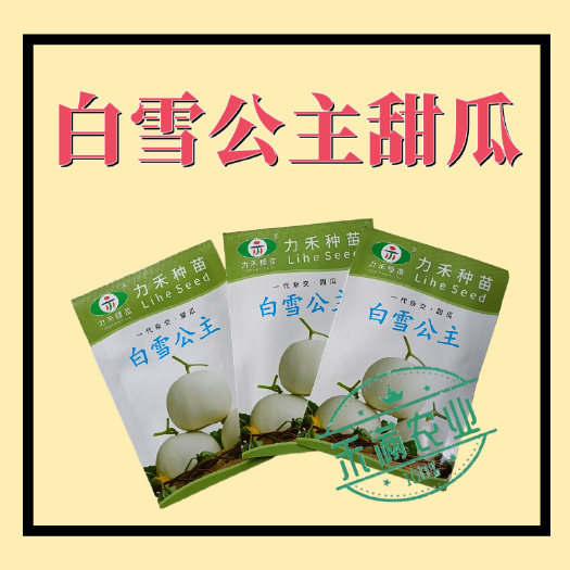 武汉力禾种苗白雪公主甜瓜种子白皮白绿肉甜度高香味细腻浓香抗病高产