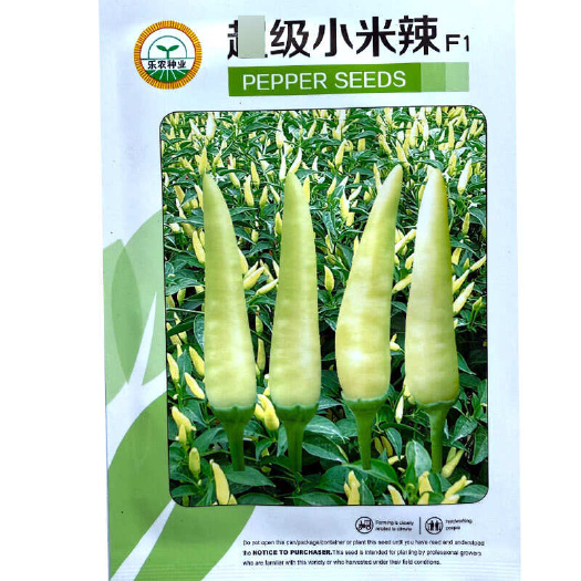 建瓯市小米辣椒种子 单生白色杂交朝天椒种子 香辣味浓 结果多