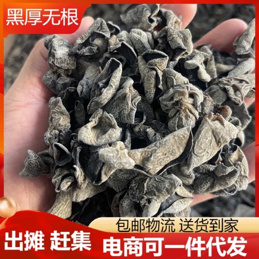 鲁山县不怕对比 摆摊秋耳 东北黑木耳干货 肉厚无根碗耳 电商可代发