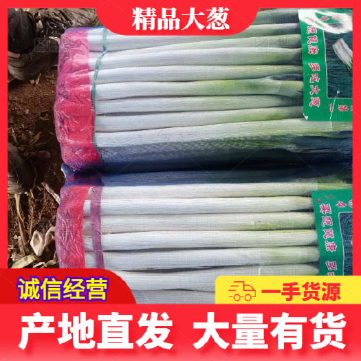 费县净葱（铁杆大葱）大量有货 产地直发
