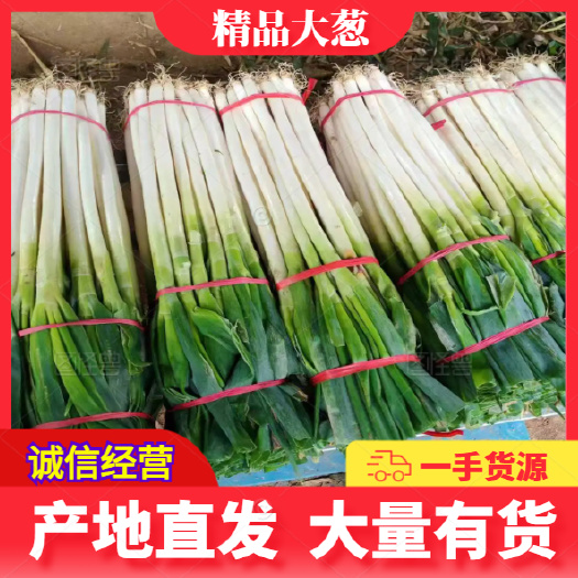 精品晚葱（铁杆大葱）新鲜发货