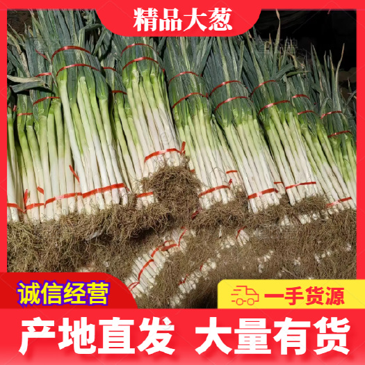 费县大葱毛葱 新鲜直发 量大价优