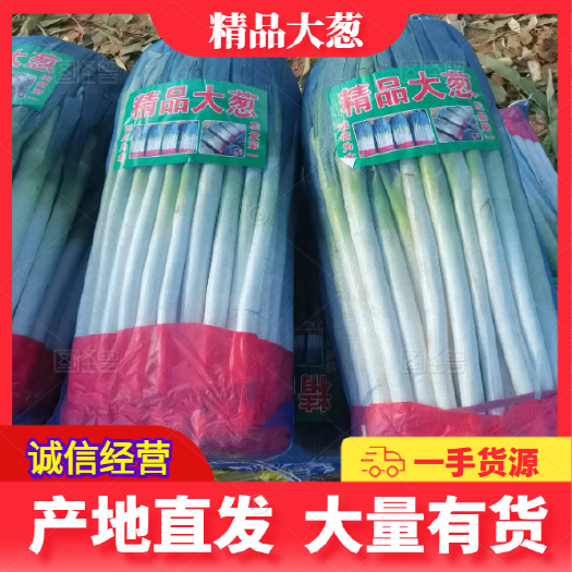 费县铁杆大葱 净葱  钢葱 产地直供