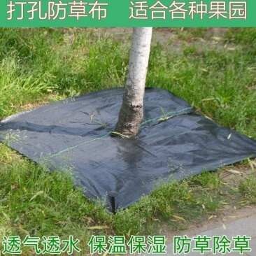 沭阳县切片除草布打孔除草布pe防草布透气透水园林地布果园防草