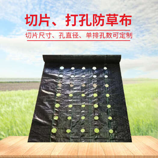 防草布果园用切片打孔单张防草布，pe防草布
