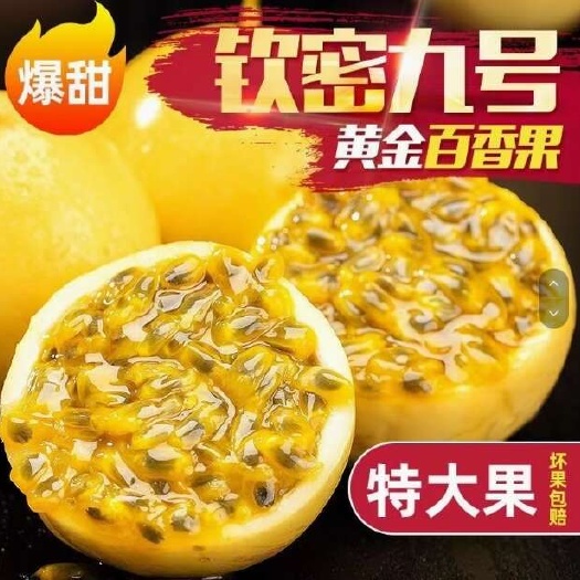 南宁广西钦蜜9号黄金百香果【量大可谈】