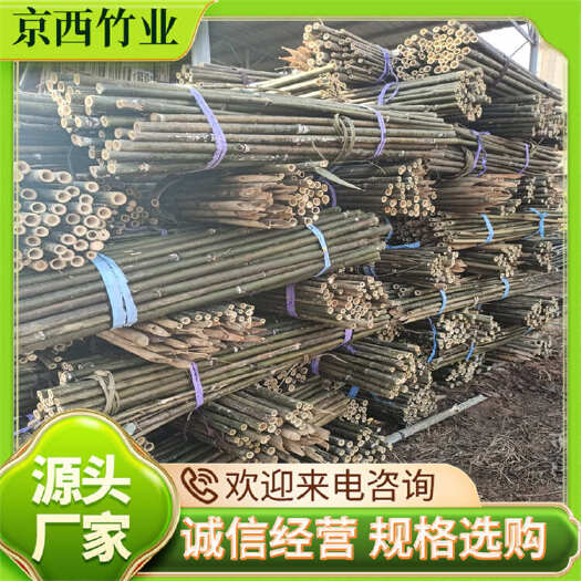 贵溪市江西鹰潭优质枸杞苗防护杆支撑杆整车发货可定制发票服务农用必备