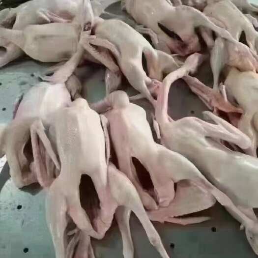 西安西安市内冷冻鸭肉批发