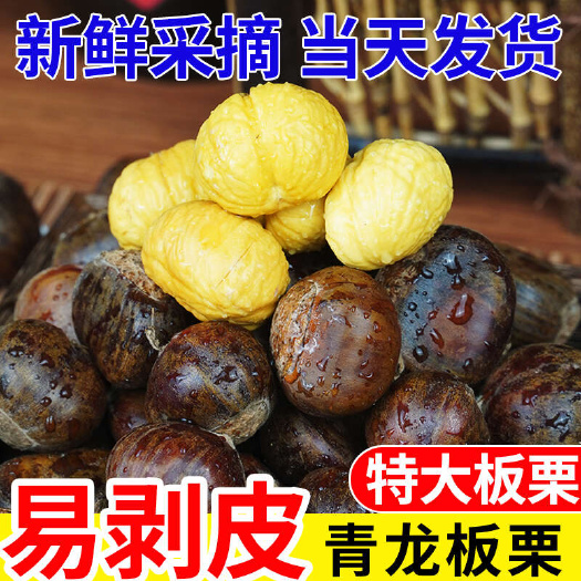 合肥【24年好板栗】青龙板栗313 质量好不掺假 口感软糯香甜
