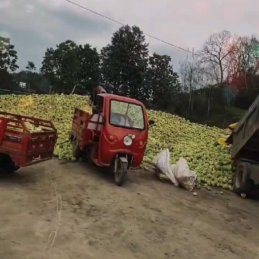 墊江新鮮脆嫩，農(nóng)家自種榨菜，原汁原味的家鄉(xiāng)味