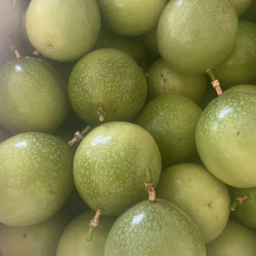 北流市【推荐】黄金百香果孕妇现摘水果当季鸡蛋果量大批发