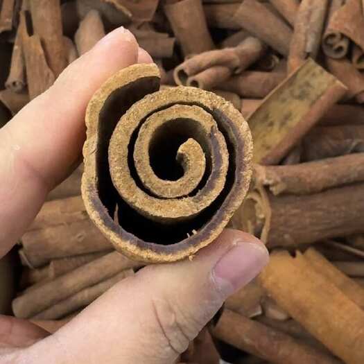 紫油桂源头现发广西老树龄油桂煲汤香料卤料炖料按需定制