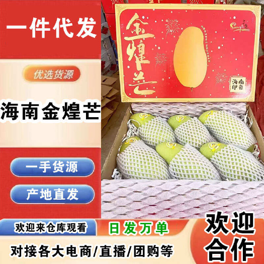 海口海南金煌芒一件代发产地直发一手货源对接各大电商平台