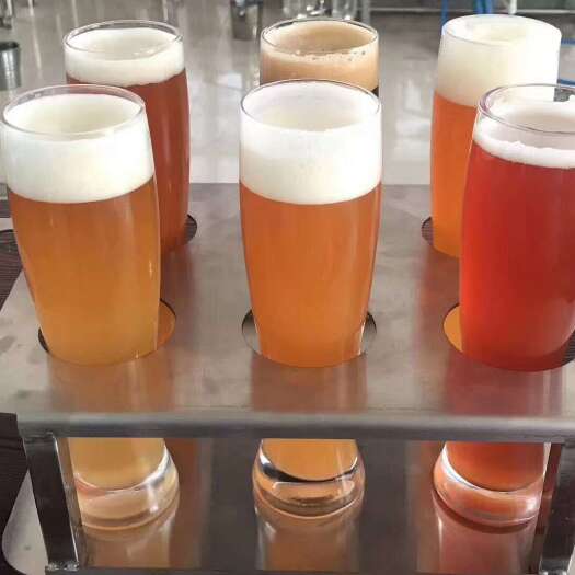青县大型德式精酿啤酒机器价格