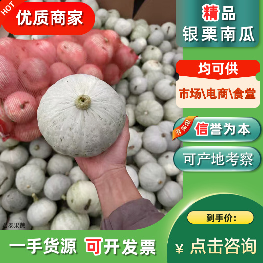 徐闻县银栗南瓜贝贝南瓜板栗南瓜电商市场工厂货 够老各种规格