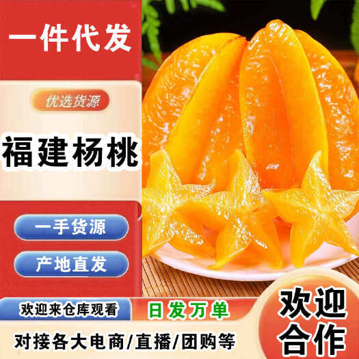 东山县福建杨桃一件代发产地直发一手货源对接各大电商平台