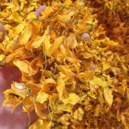 鼓槌石斛花云南鼓槌石斛花大货批发一件代发