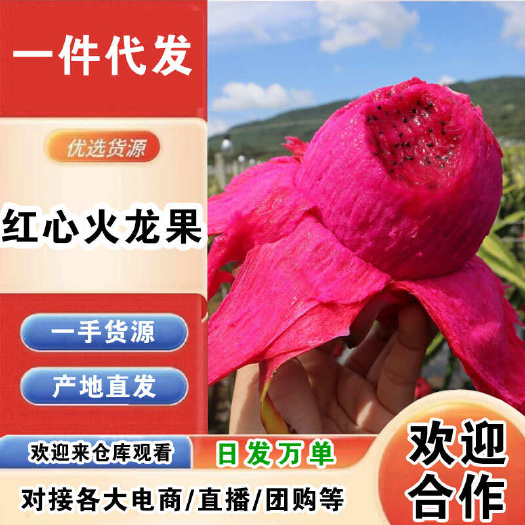 海口海南红心火龙果一件代发产地直发一手货源对接各大电商平台