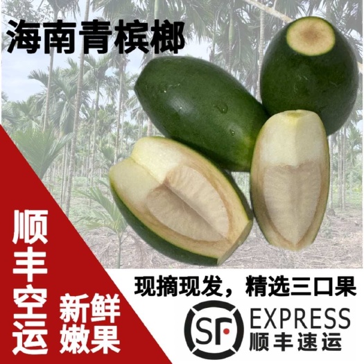 顺丰包邮新鲜槟榔青果带配料果园现摘现发精选新鲜生槟榔青果