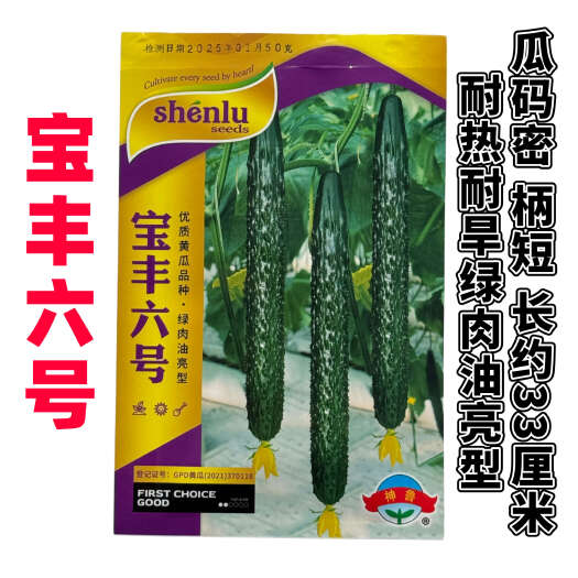 长沙宝丰六号黄瓜种子瓜码密柄短耐热耐旱绿肉油亮