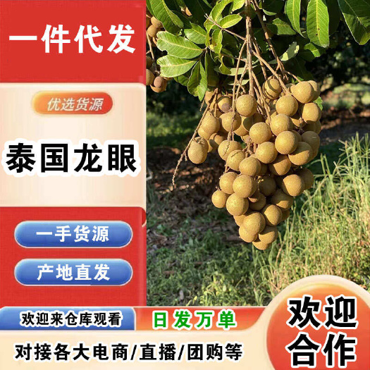 昆明泰国龙眼一件代发产地直发一手货源对接各大电商平台