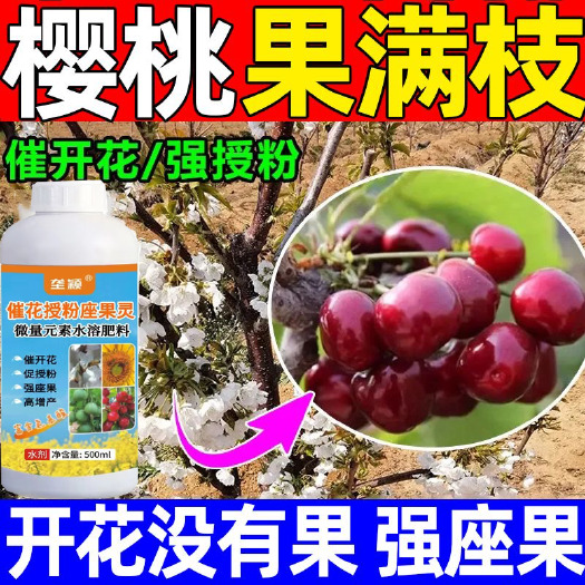 栾川县大樱桃点叶芽变花芽药车厘子樱桃催芽剂催花素加速花芽分化水溶肥