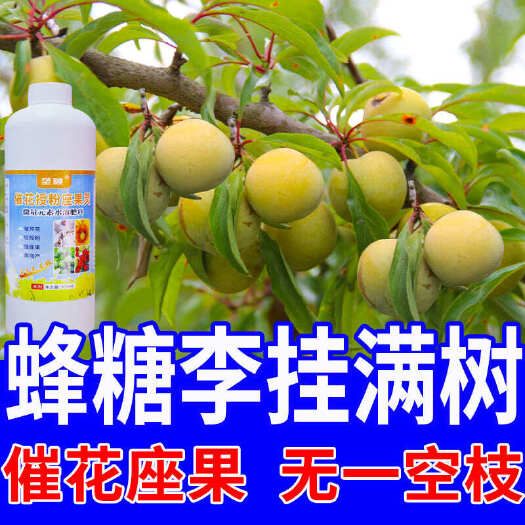 汝阳县李子专用授粉药强效授粉座果精授粉花果素防落素保花保果素沾花素