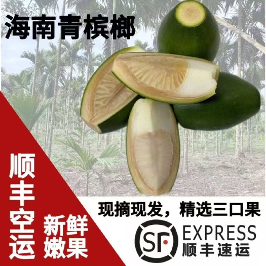 顺丰包邮海南青槟榔生果新鲜槟榔现摘500克青仔散装 生槟榔青